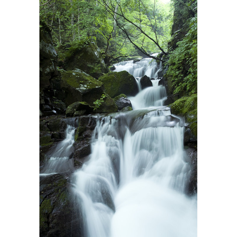 Cascading Water - Wrapped Canvas Print, 122cm H x 81cm W x 3.8cm D