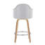 Contemporary Counter Stool-529814068