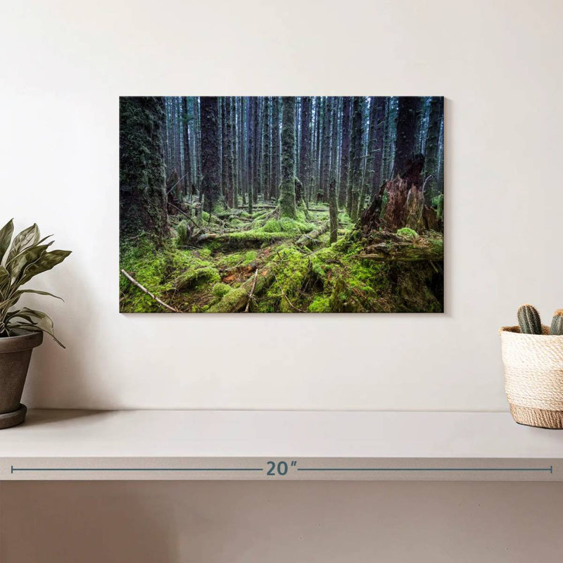 Forêt tropicale Alvord Mossy Hoh, H 8 po x l 12 po