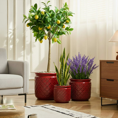 Round Indoor/Outdoor Ceramic Pot Planters
