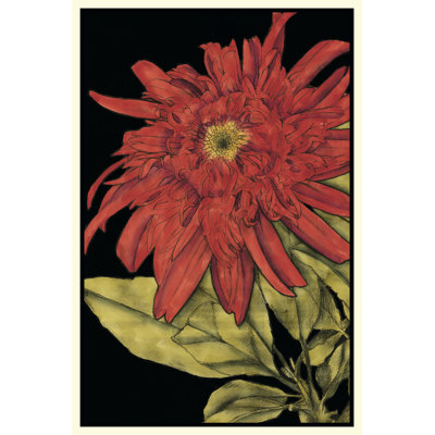 Radiance II by Jennifer Goldberger - Wrapped Canvas Art Prints