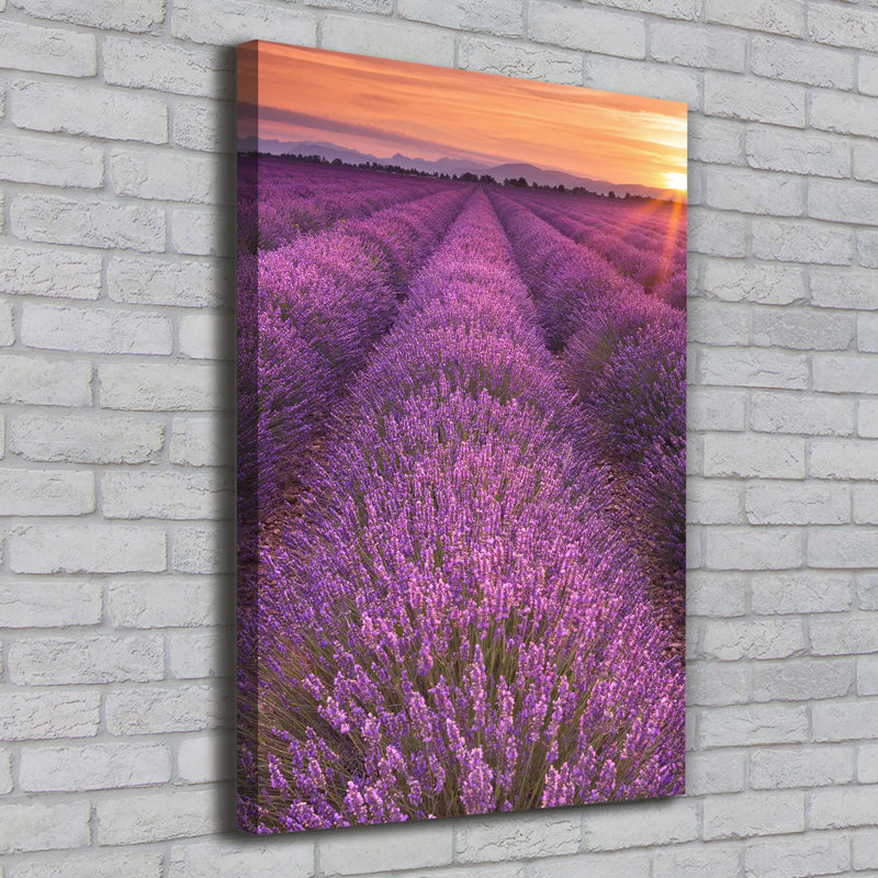 Lavender Field - Wrapped Canvas Print