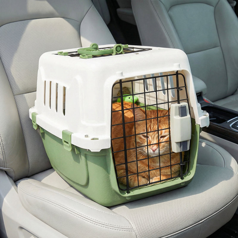 Boîte de transport en plastique pour animal de compagnie, H 12 po x l 18 po x P 10,5 po, Blanc / Vert