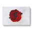 Red Rose In Bloom - Wrapped Canvas-56629266