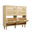 Shoe Storage Cabinet