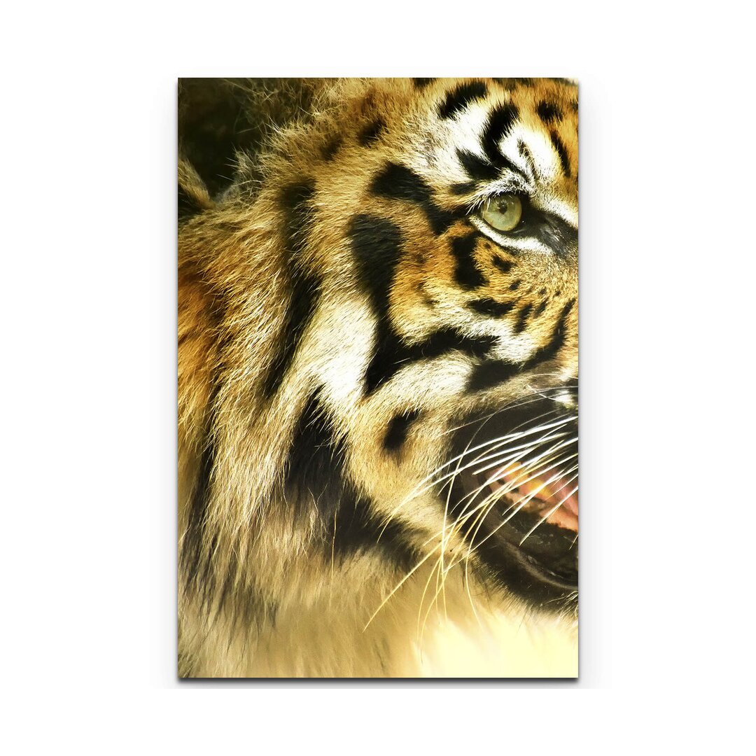 Leinwandbild Tiger - Portrait