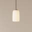 Goby Pendant Light-1043465-1043480-1043491