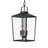 Syndal 3 - Light Outdoor Hanging Lantern