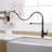 Kitchen Faucet With Pull Down Sprayer Black Stainless Steel Single Handle Pull Out Spring Sink Faucets-121210009