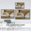 Amandine II-92469481-92469483