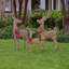Pre-Lit Natural Rattan and Hemp Rope Reindeer Family - Set of 3