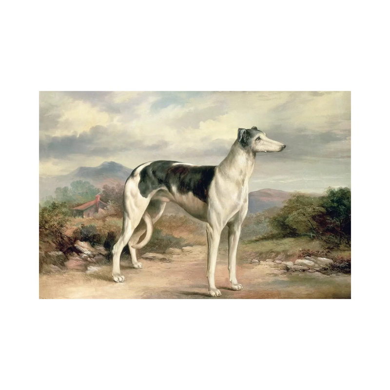 A Greyhound In A Hilly Landscape by James Henry Beard - Wrapped Canvas Print, 20.32 cm H x 30.48 cm W