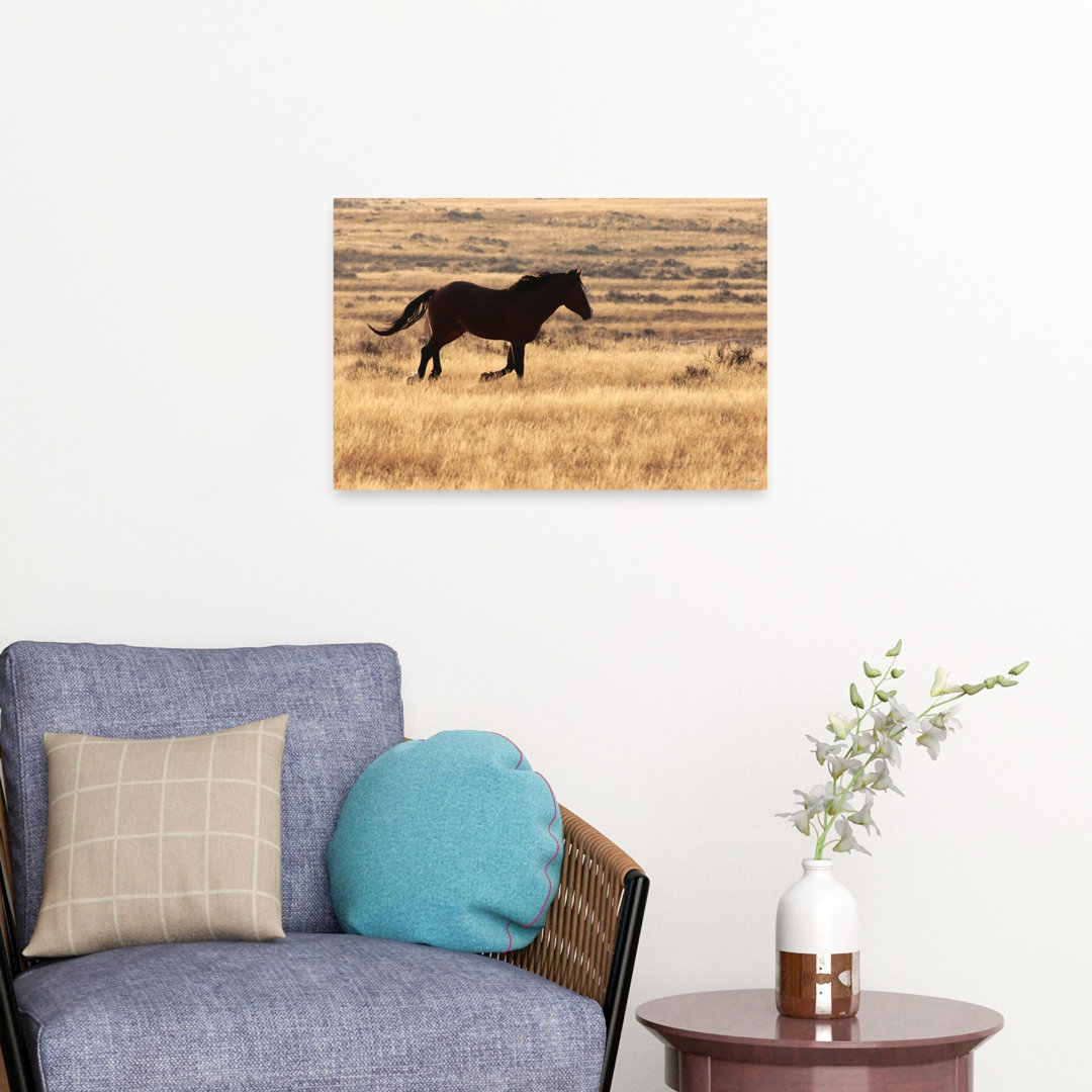 The Wild Spirit Dramatic Abstract Contemporary Horse Landscape Nature Wall Art Print