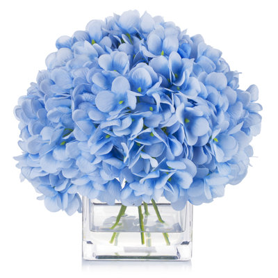 Hortensia en fleurs dans un vase en verre