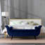 Banc très long de 65 pouces, matériau en velours, centre de vestibule polyvalent au look rétro, essentiel pour le salon-140225604