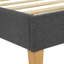 Dayna Upholstered Platform Bed-673354094