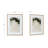 Espira Framed Print