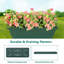 Jardin vertical en plastique ABS-897717348-897717350