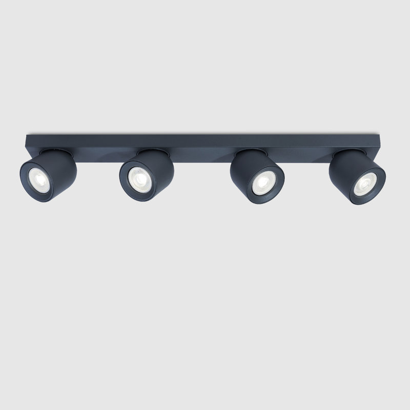 Azniv Spotlight, Grey
