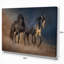 «Black and Brown Horse Run», reproduction de photo sur toile tendue-29495871