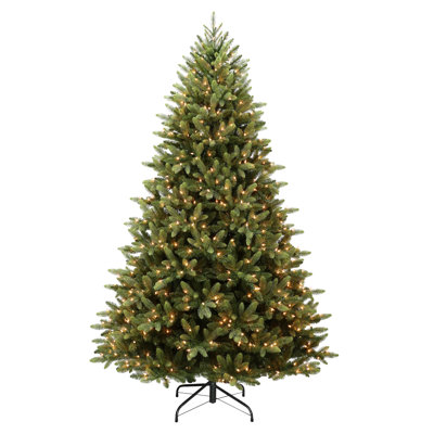 78' Lighted Spruce Christmas Tree