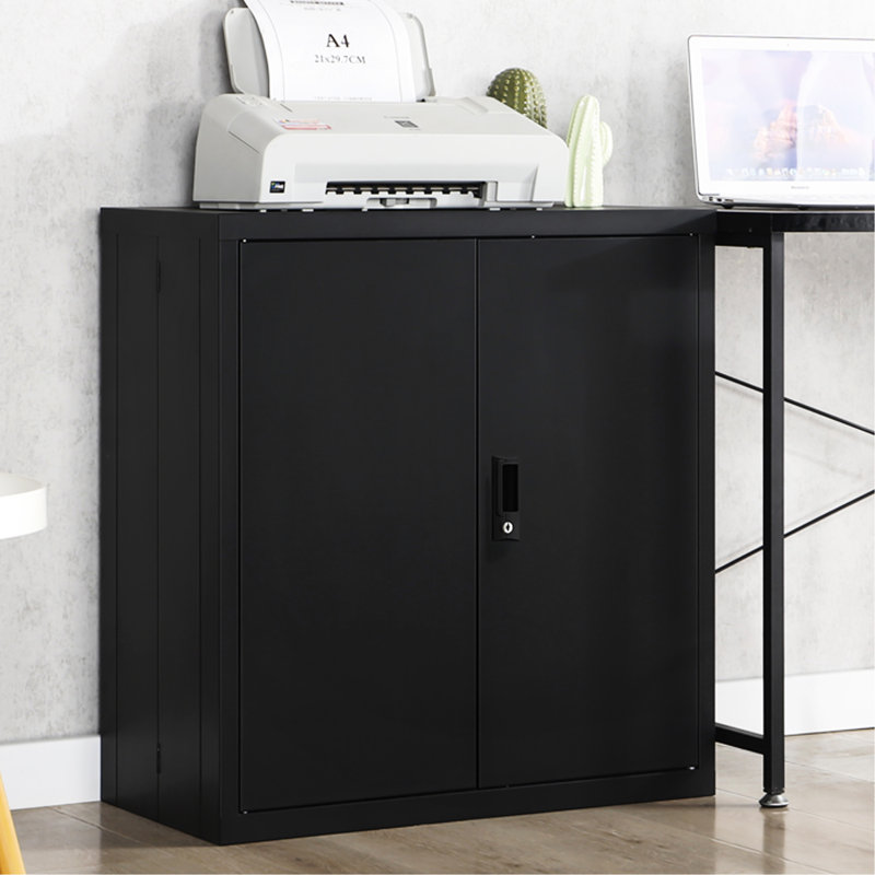 Armoire de rangement avec casiers de rangement avec serrures de sécurité et deux tablettes réglables, idéale pour le garage de bureau, acier noir, - Détachement facile à transporter, 3 4 15,63 po de profondeur