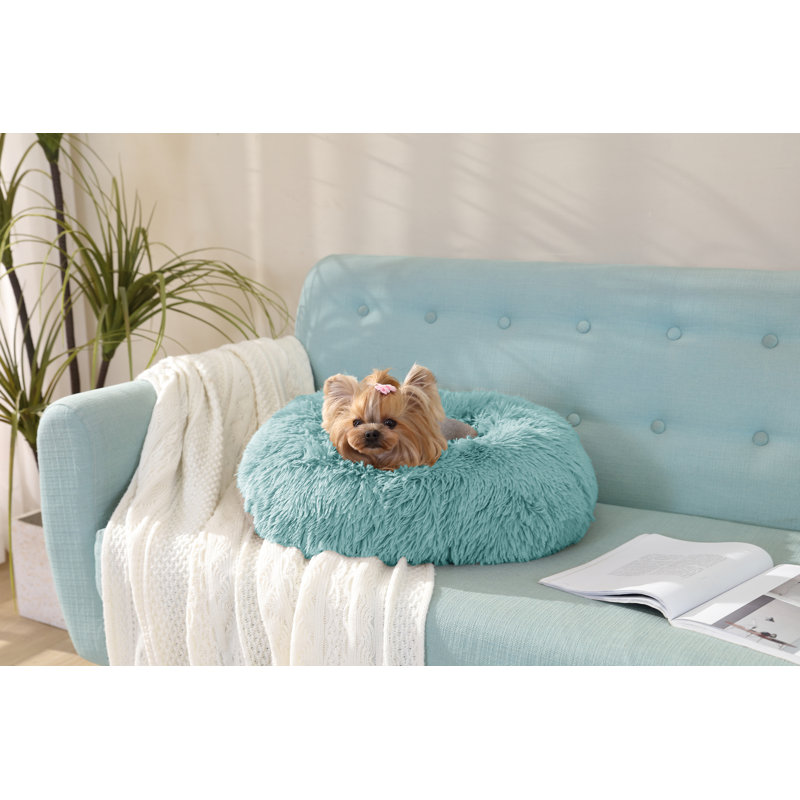 Beignet chaud Artrice, Petit (H 8 po x l 22 po x P 22 po), Bleu