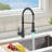 Topcraft Single-Handle Single-Hole Kitchen Faucet