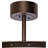 Damiyan 30'' Ceiling Fan with LED Lights
