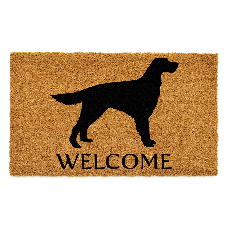 Tapis d'entrée antidérapant Irish Setter, l 17 po x L 29 po