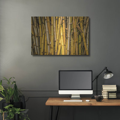 «Bamboo» par Mark A Paulda