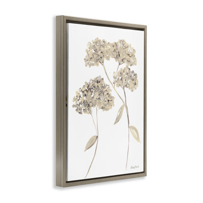 Soft Geranium Florets Framed Floater Canvas by Roy Ebert