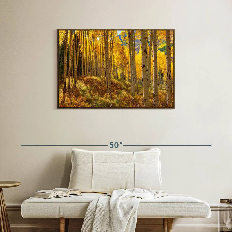 Autumn Aspen Forest, Colorado, États-Unis, 37 po x 25 po, Cadre flottant noyer