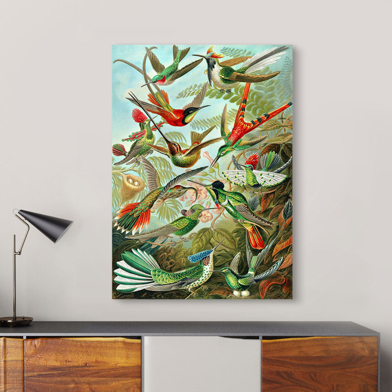 Trochilidae by Ernst Haeckel - Wrapped Canvas Art Prints, 100cm H x 70cm W x 4cm D