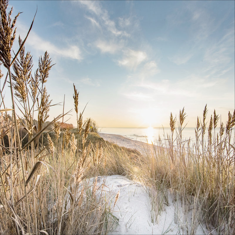 Wild Beach III - No Frame Print on Float Glass, 20cm H x 20cm W x 1.3cm D