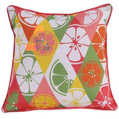 18" x 18" Indoor Throw Pillow