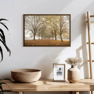 Paix d'automne
