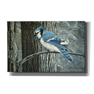 " Backyard Jay " by Ron Parker