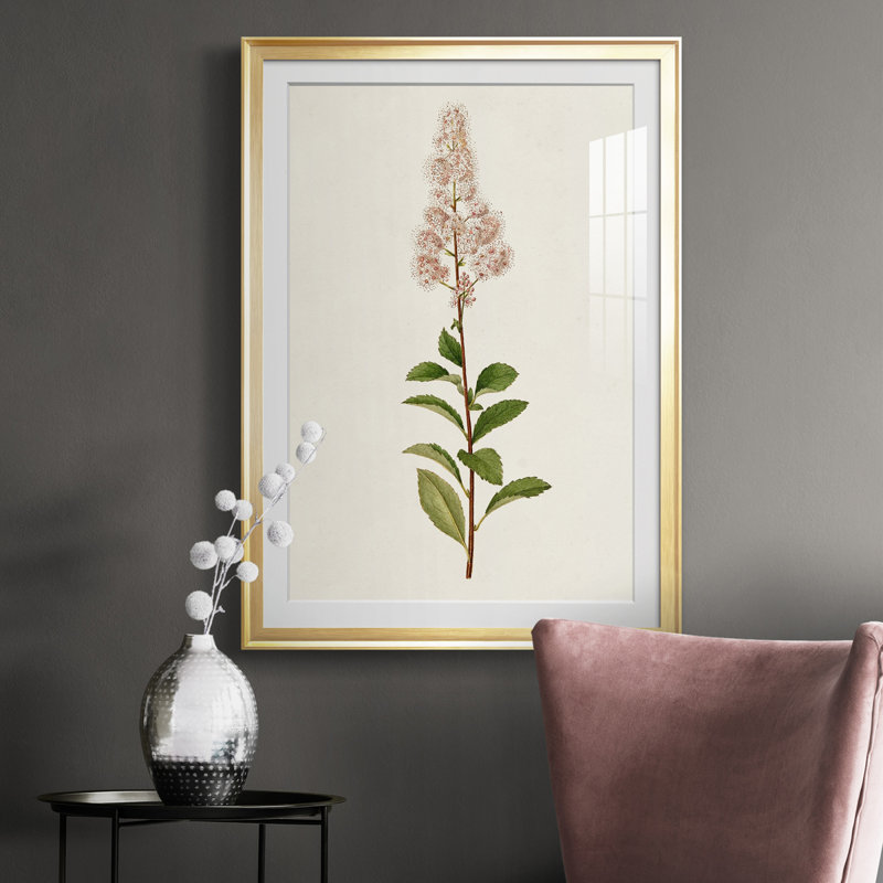 Mauve Garden Flowers II - peinture encadrée, Cadre doré, H 24,5 po x l 18,5 po x P 1 po