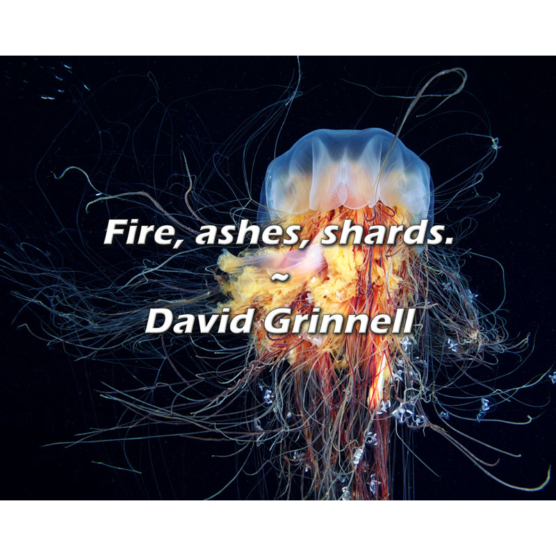 Citation de David Grinnell: Feu, cendres, éclats.
