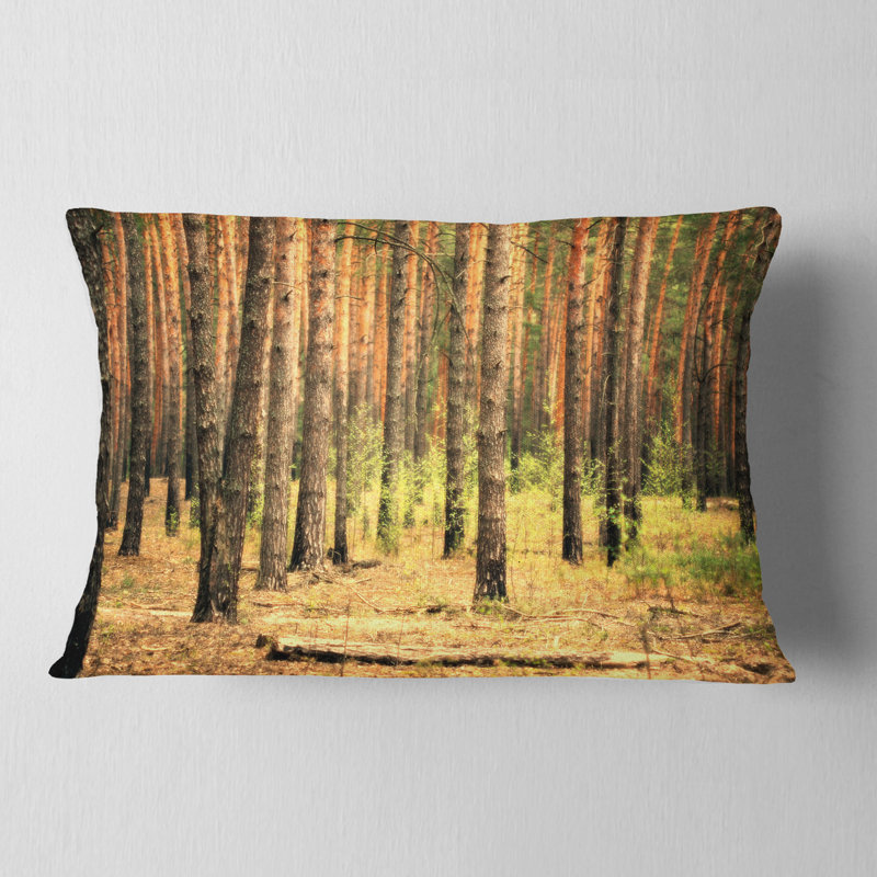 Magnifique forêt de pins au coucher du soleil - coussin décoratif imprimé forêt, 12 po x 20 po, Rectangle