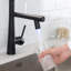 FLG Pull Down Kitchen Faucet-63292499