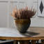 Bellanira Handmade Black & Brown Decoration Bowl for Living Room Decor, Polyresin Serving Bowl