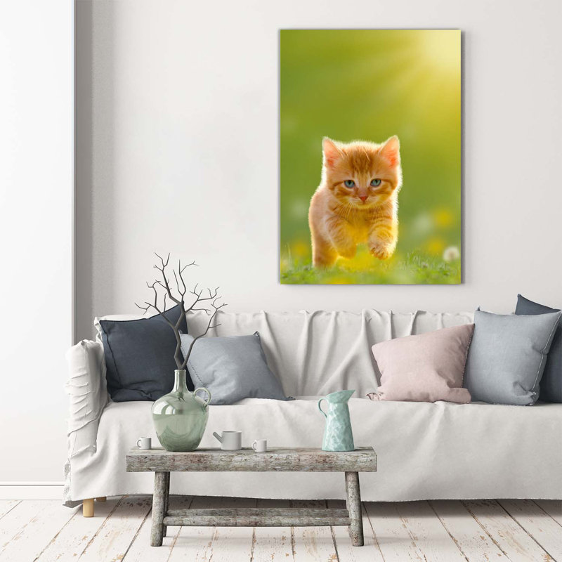 Red Cat - Wrapped Canvas Print