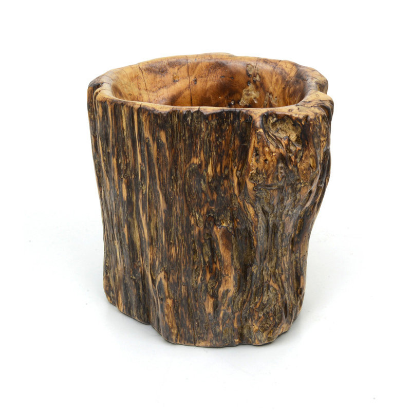 Racine haute Root ™