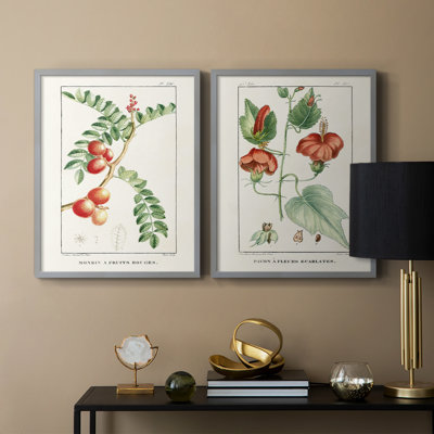 Turpin Tropical Botanicals III-Premium Framed Print -Ready to Hang - No Nails Required - No Nails Required