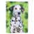 Black/Blue Dalmatian