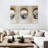 " Airplane Windows " 3 - Pieces-92763803