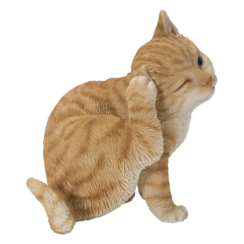 Chat qui gratte l'oreille