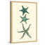 «Aqua Starfish», reproduction encadrée-18742234